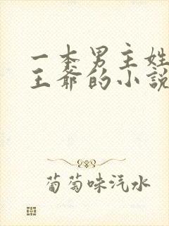 一本男主姓萧是王爷的小说封面