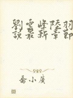 刘云峰陆羽的小说最新章节封面