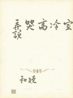弄哭高冷室友小说