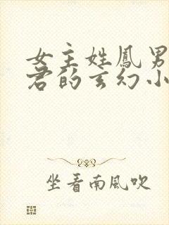 女主姓凤男主姓君的玄幻小说封面