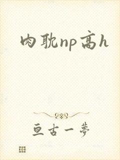 肉耽np高h