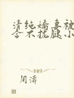 清纯娇妻被c得合不拢腿小说封面