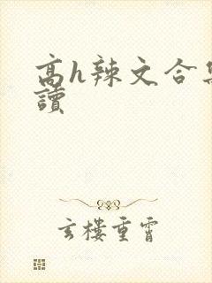 高h辣文合集阅读