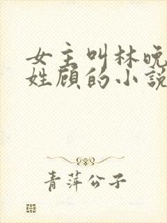 女主叫林晚男主姓顾的小说