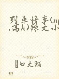 列车情事(np,高h)辣文小