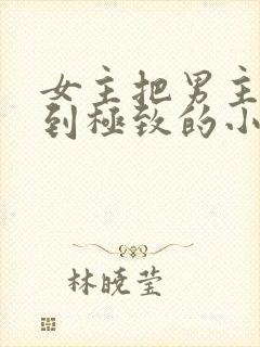 女主把男主囚禁到极致的小说