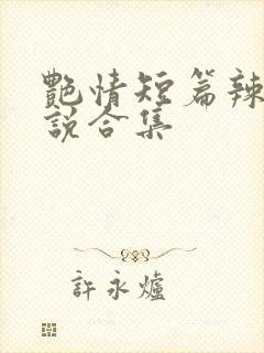 艳情短篇辣文小说合集封面