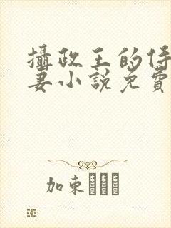 摄政王的侍爱逃妻小说免费阅读