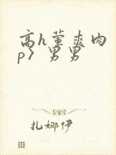 高h荤爽肉〈np〉男男