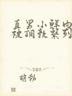 直男小鲜肉小陈被调教系列