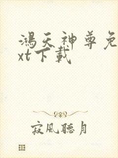 鸿天神尊免费txt下载