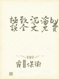 极致沉沦by小说全文免费阅读