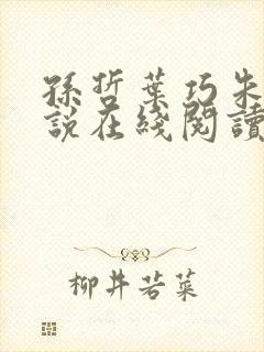 孙哲叶巧朱颜小说在线阅读