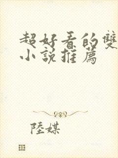 超好看的双男主小说推荐