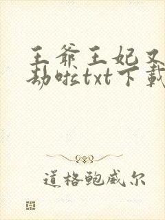 王爷王妃又去打劫啦txt下载