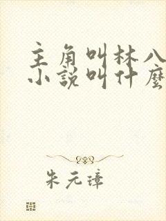 主角叫林八千的小说叫什么名字