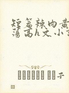 短篇辣肉黄辣放荡高h文小说封面