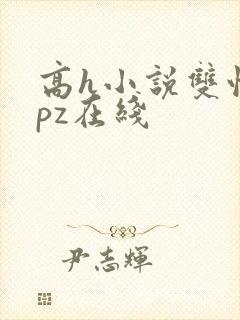 高h小说双性npz在线封面