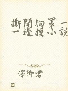 撕开胸罩一边亲一边摸小说