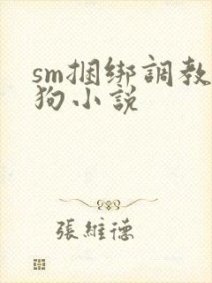 sm捆绑调教母狗小说封面