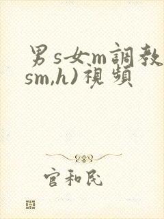 男s女m调教(sm,h)视频封面