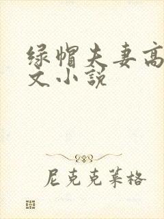 绿帽夫妻高辣h文小说封面