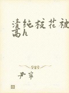 清纯校花被调教高h