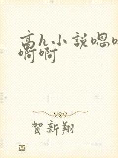 高h小说嗯嗯啊啊啊封面