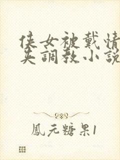 侠女被戴情趣乳夹调教小说封面