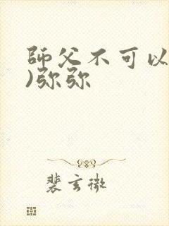 师父不可以(限)弥弥封面