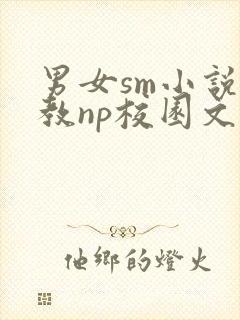 男女sm小说调教np校园文封面