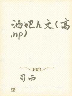 酒吧h文(高h,np)