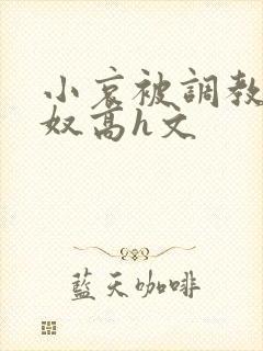 小哀被调教成肉奴高h文