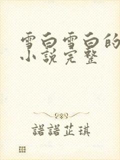 雪白雪白的乳房小说完整