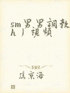 sm男男调教〈h丿视频