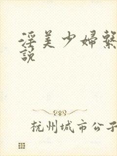 淫美少妇系列小说