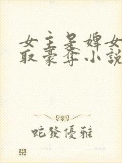 女主是婢女被强取豪夺小说封面