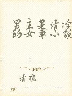 男主是清冷国师的女尊小说封面