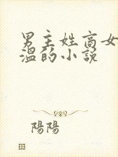 男主姓商女主姓温的小说