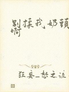 别揉我奶头~嗯啊封面