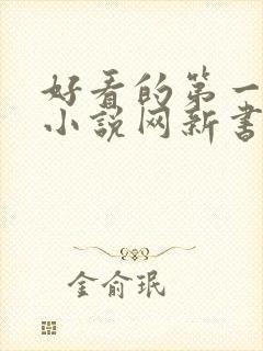 好看的第一版主小说网新书