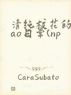 清纯校花的被cao日常(np