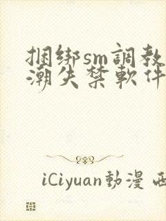 捆绑sm调教高潮失禁软件