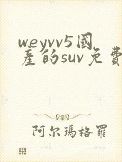weyvv5国产的suv免费