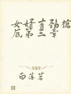 女婿有劲枪枪到底第三章