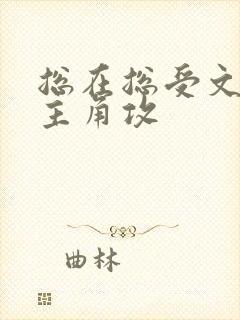 总在总受文里抢主角攻