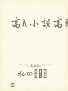 高h小说高干文封面