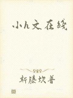 小h文在线