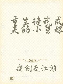 重生后我成了前夫的小舅娘小说