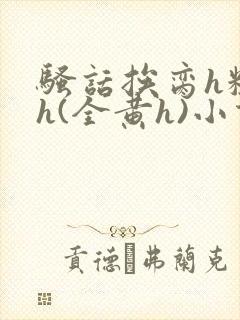 骚话挨脔h粗话h(全黄h)小说